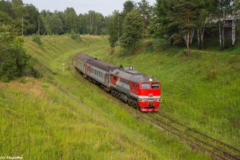 Луки москва поезд