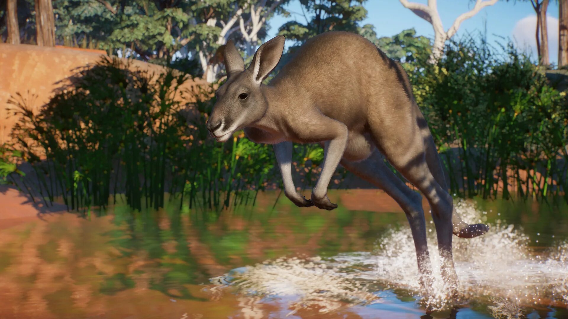 Планета животных игры. Планета Zoo игра. Planet Zoo: Australia Pack. Гиеновая собака Planet Zoo. Planet Zoo DLC.