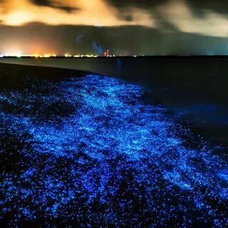 Glow beach