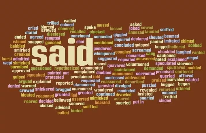 He said she said book. Said. Said Words. Саид логотип. Say said said.