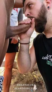 Beardedbj - ani-2013.fr