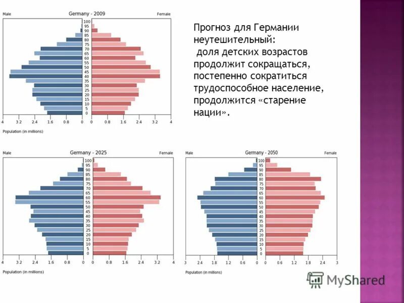 Занятое население германии. Половозрастная структура населения Германии. Воспроизводство населения Германии.