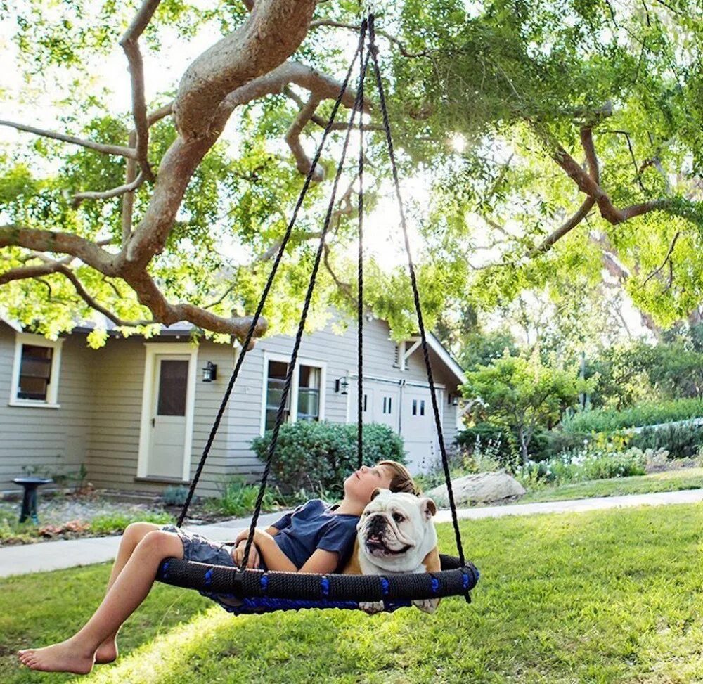 Swing tree