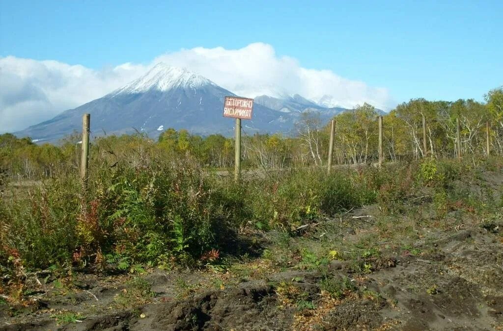 Козельский полигон Камчатка. Полигон Радыгино Камчатка. Катастрофа на Камчатке( Козельский полигон). Козельский полигон ядохимикатов. Камчатгидромет