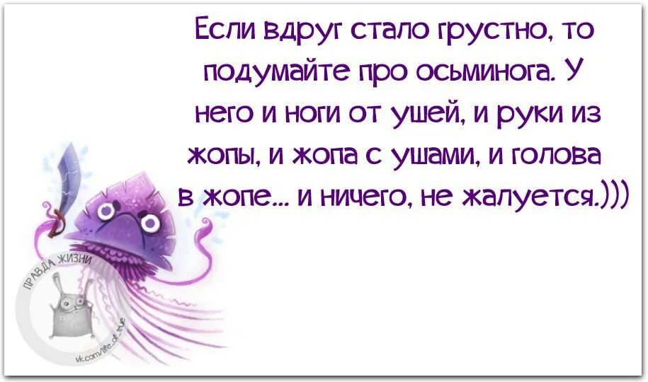 Верно есть у тебя печальный друг. Если тебе грустно подумай про осьминога. Если грустно вспомни осьминога. Прикольные выражения про осьминога. Если тебе грустно вспомни осьминога.