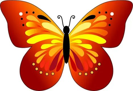 Анал порносымен жүреді