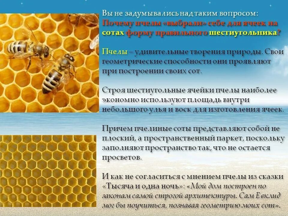 Как собирать сота