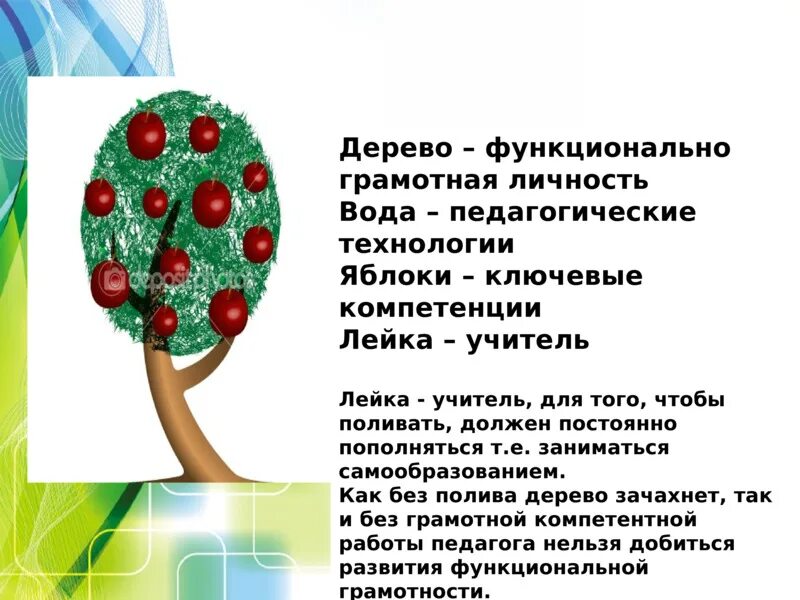 Модели функциональной грамотности. Дерево функциональной грамотности. Модель развития функциональной грамотности. Модель развития функциональной грамотности дерево. Функциональная грамотность в виде дерева.