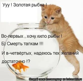 Хочу на первый