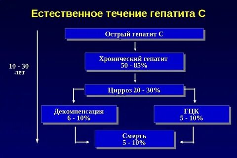 Течение вирусных гепатитов