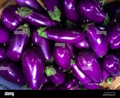 Pile of reshly picked eggplants at the farmers Market on Union Square New Y...