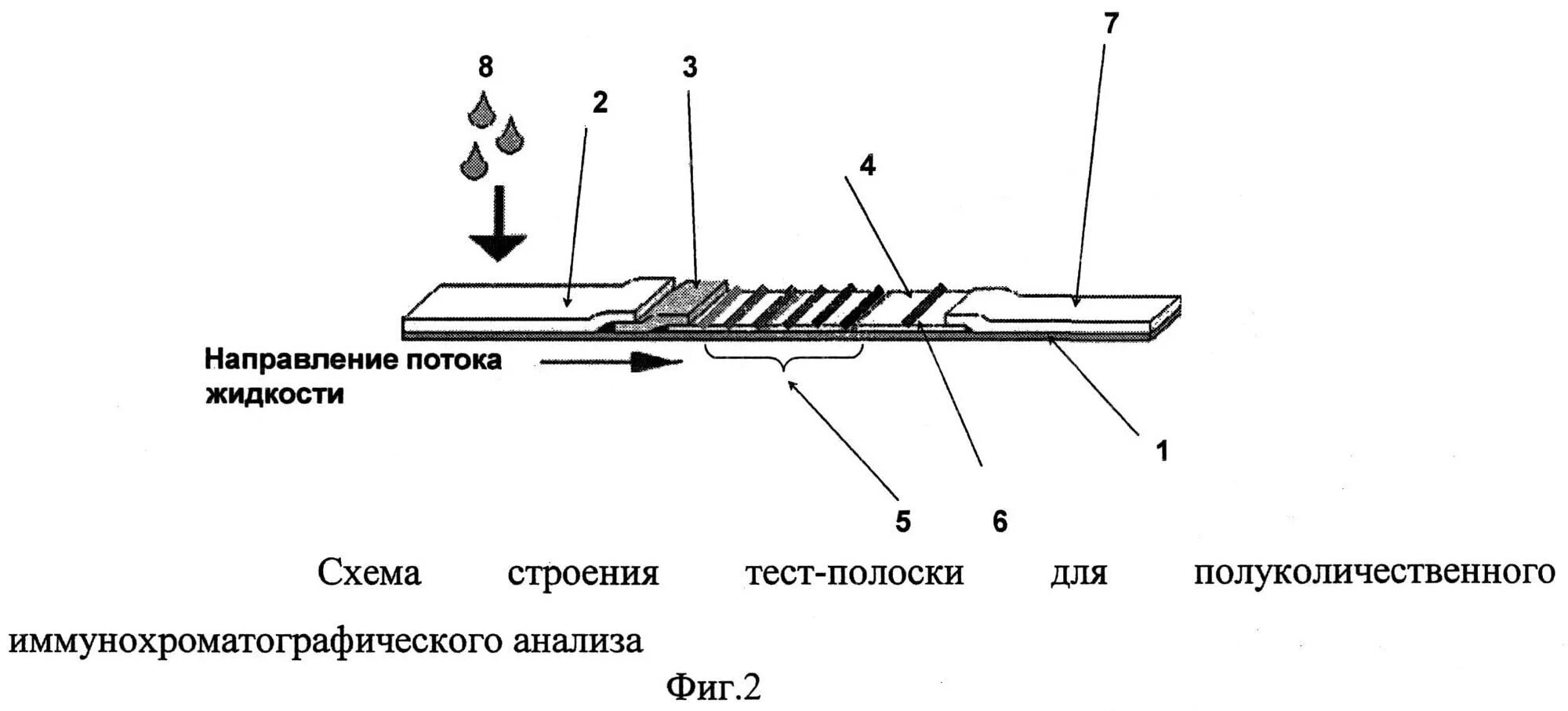 Иммунохроматографического анализа экспресс тест. Иммунохроматографический метод микробиология. Принцип иммунохроматографического метода. Иммунохроматографические экспресс тест микробиология. Анализ методом иммунохроматографии.
