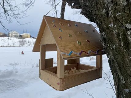 Что смастерили ребята для птиц