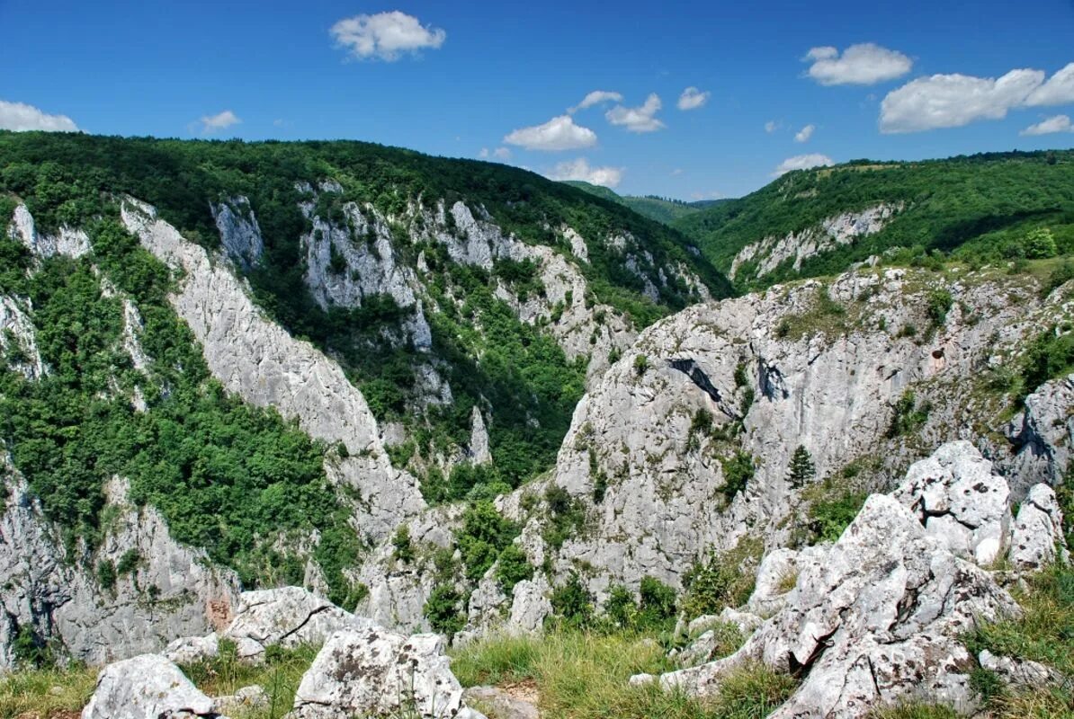 Крас чер. Плато Карст Словения. Известняковое плато крас в Словении. Известняковое плато Карст. Плато Карст горы.