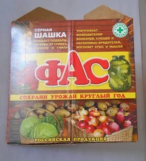 Серная шашка в теплице из поликарбоната осенью
