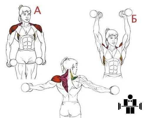 Разводка гантелей на плечи. Подъем гантелей над головой через стороны. Подъем гантелей через стороны вверх. Разводка гантелей вверх стоя. Разводка гантелей на дельты стоя.