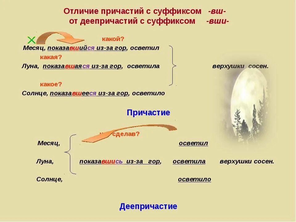 Причастные и деепричастные обороты диктанты 7 Shtampik.com