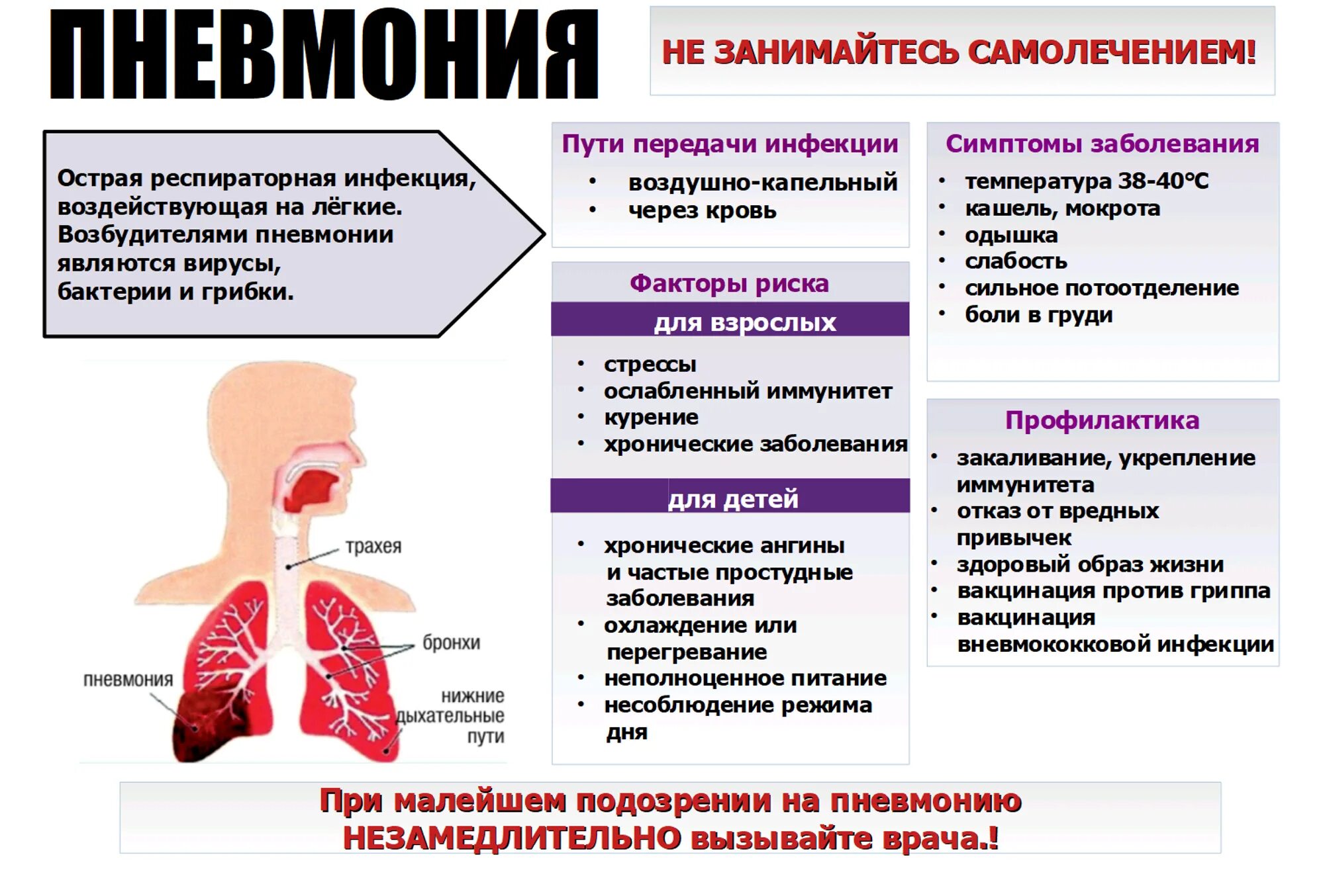 Инфекция с мокротой. Пневмония симптомы у взрослых. Восполении лёгких, симптомы. Симптомы при пневмонии у взрослых.