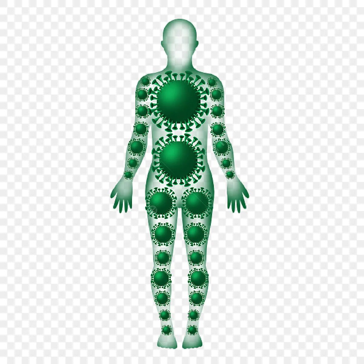 Green Human body. Richard Green virus. Ткани организма PNG.