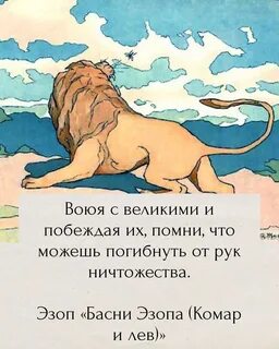 Басня лев на ловле