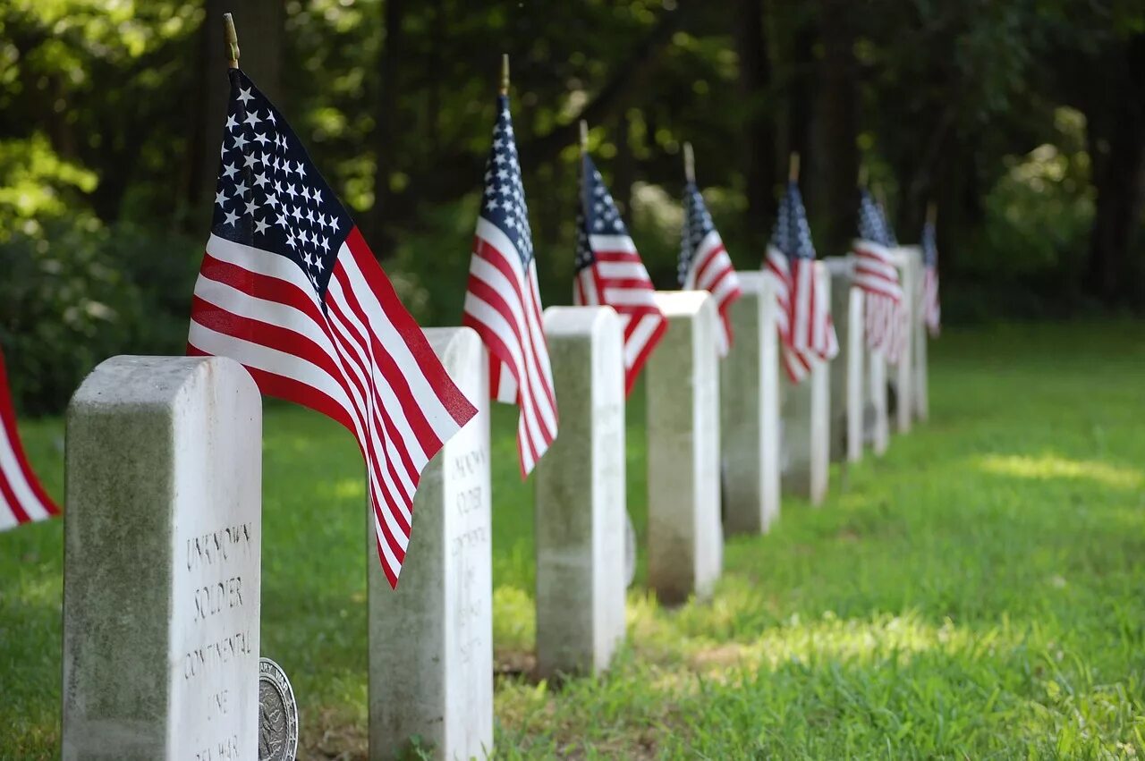 Veterans day. Арлингтонское кладбище мемориал. Кладбище в Америке. Американское военное кладбище. День ветеранов в США.