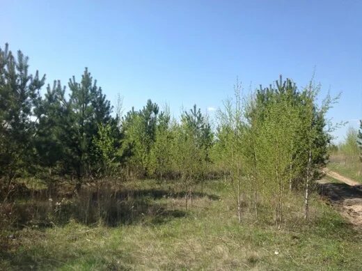 Погода в ланьшино серпуховского. Моск.обл дер ланьшино. ланьшино. снт ланьшино серпуховский район официальный сайт. фото участков в поселке ланьшино, ул. береговая.