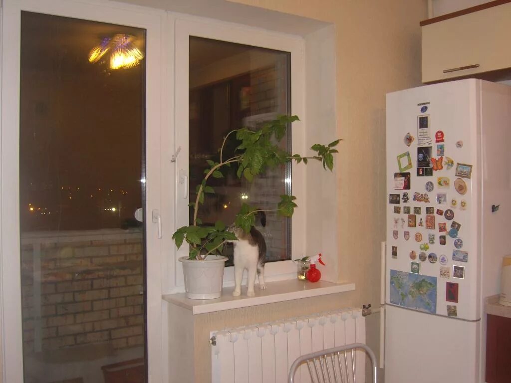 Пин на доске Кухня