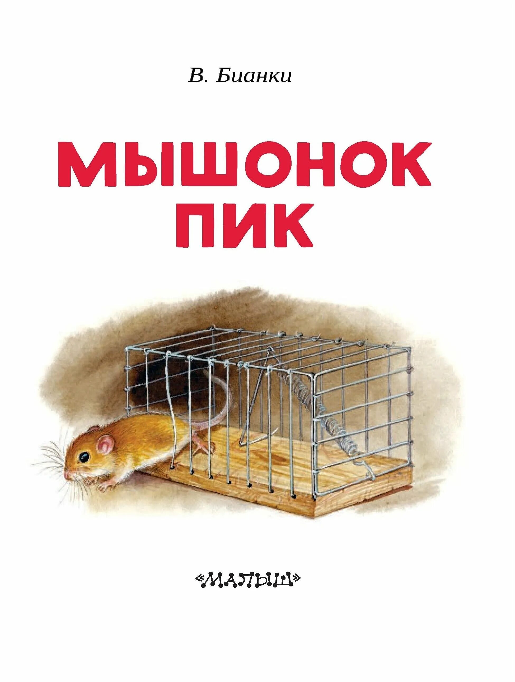 Как мышонок учился читать. Читать книгу мышонок. Читать книгу мышонок. Сказка про мышонка пика. Мышонок пик бианки книга.