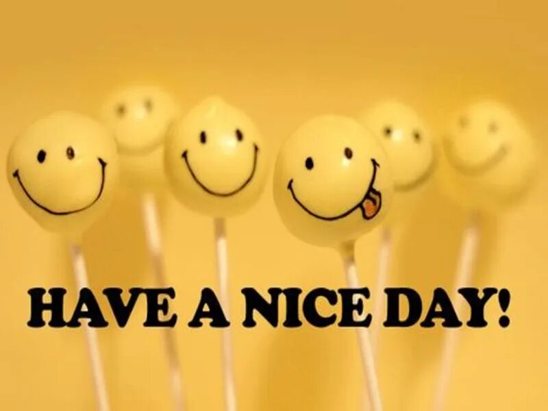 Thank you have a nice day. Thank you for your attention. thank you for attention have a nice day. thank you have a good day.