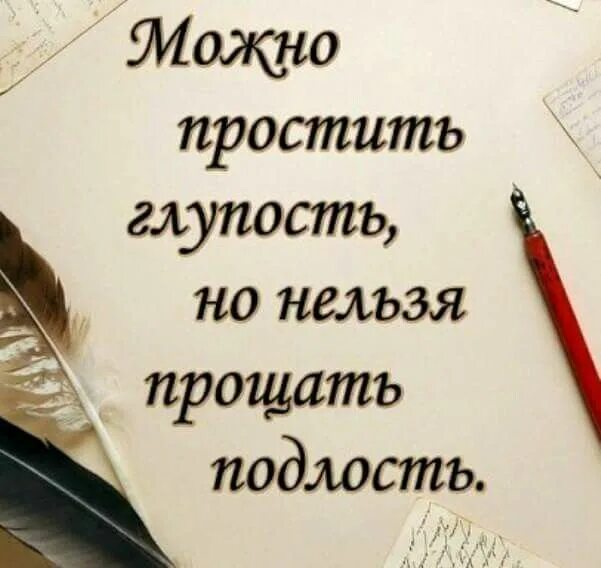 Нельзя глупо. Подлость нельзя прощать. Нельзя прощать подлость цитаты. Можно простить глупость. Подлость цитаты.