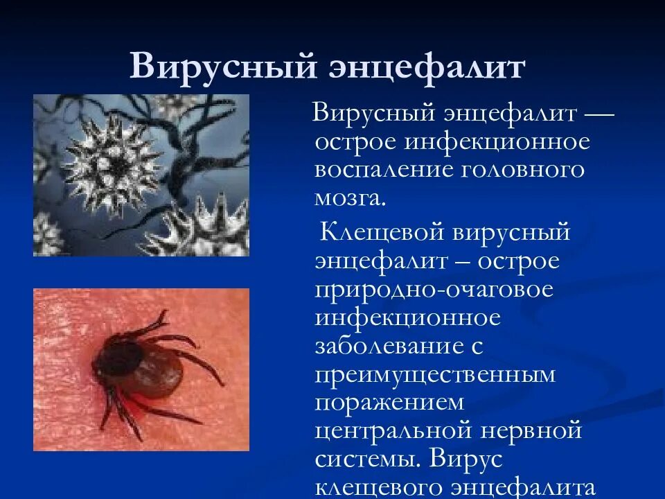 Энцефалит как заболевают. Клещевой энцефалит это вирусное заболевание. Клещевые инфекции клещевой энцефалит. Клещевой энцефалит поражение головного мозга. Постинфекционный энцефалит.