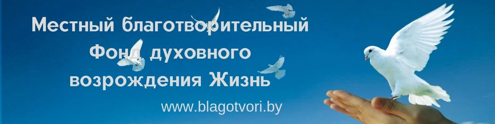 Возрождение природы благотворительный фонд. Благотворительный фонд Возрождение Екатеринбург. Возрождение благотворительный фонд Барнаул. Благотворительный фонд возрождение