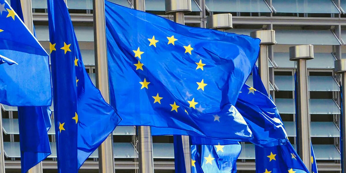 Директивы европейского Союза. Хартия европейского Союза. ЕС 1993. Директивы ЕС (2011/8/ЕС).