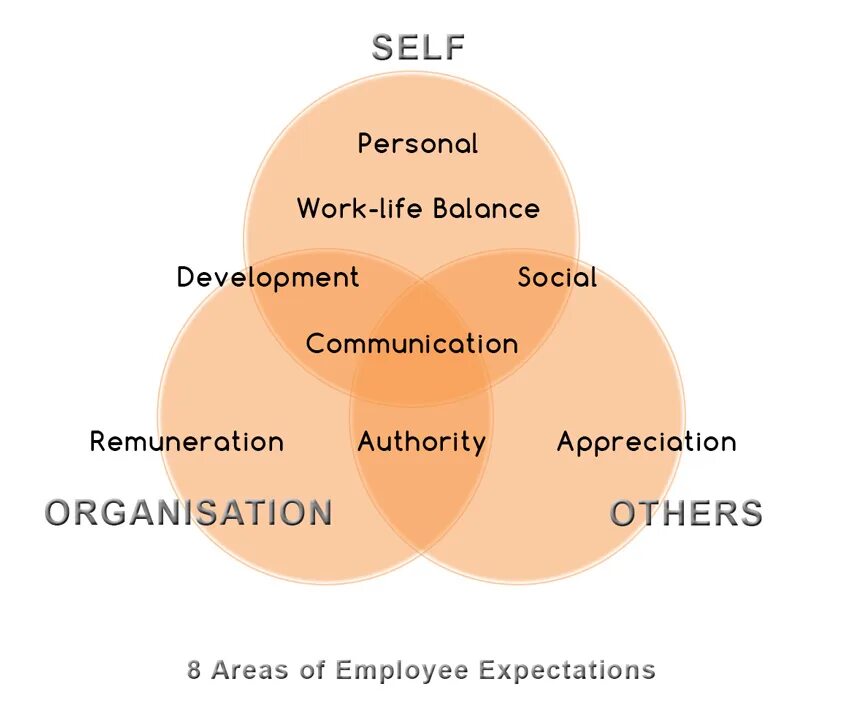 Working life ответы. Employee expectations. Expectations препарат. Work Life Balance схема. Effective cooperation примеры.