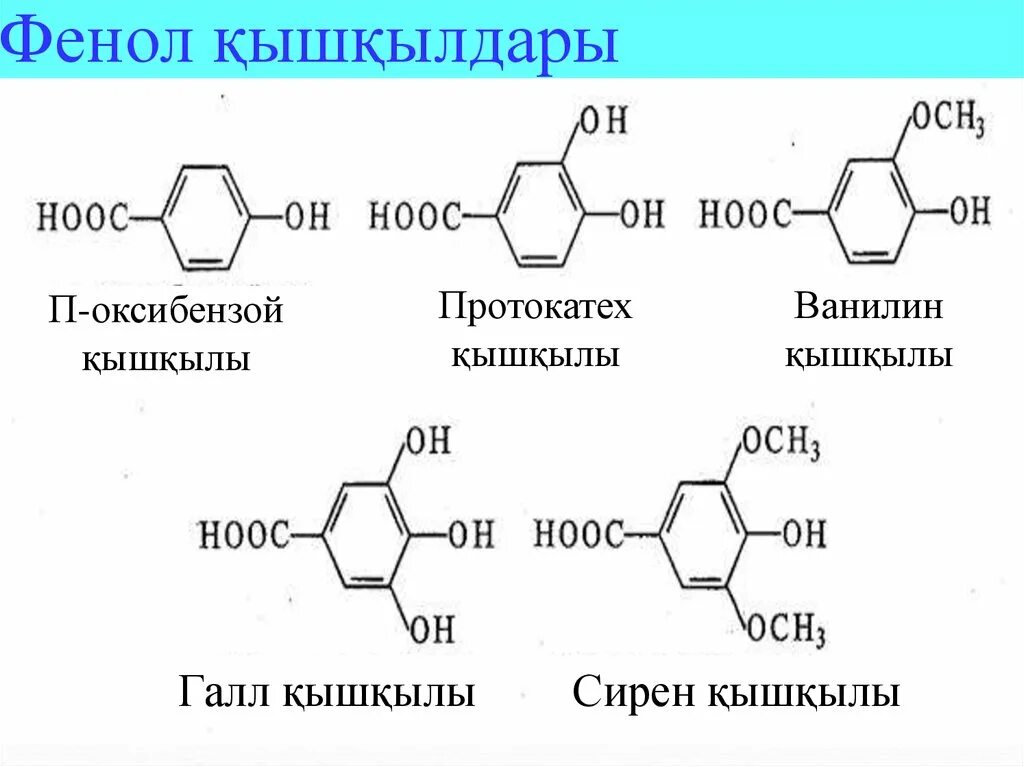 Фенолу соответствует формула. Фенол. гидроксиметилирование фенолов. фенол формула. формула фенолов.