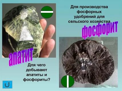 Фосфориты и апатиты