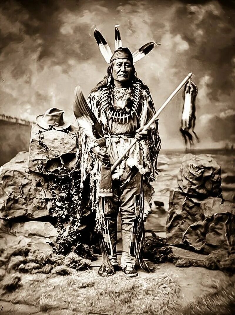 Племя знаменитая. Индейцы Северной Америки Сиу. Сиу индейцы воин. Индейцы племени арикара. Индейцы Сиу Дакота.