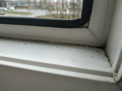 Дефекты окон