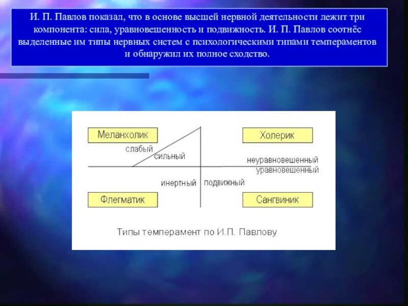 Что лежит в основе высшей нервной деятельности