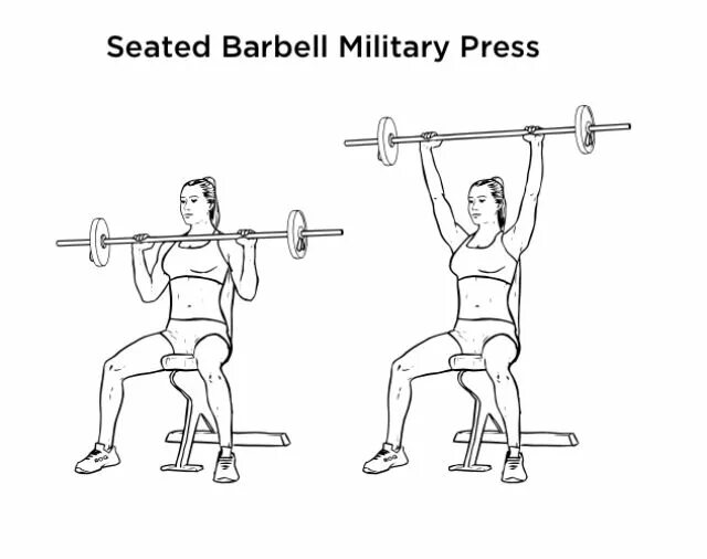 Штанга на английском. Жим штанги стоя армейский жим. Жим штанги из-за головы стоя. Упражнения на пресс со штангой. Армейский жим штанги из за головы.