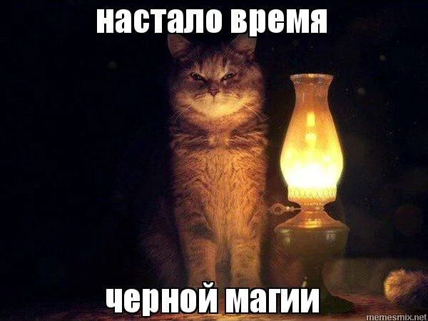 пришло время перехода. разговоры о важном. переход во времени. клифф кёртис пятое измерение. любовь и гармония.