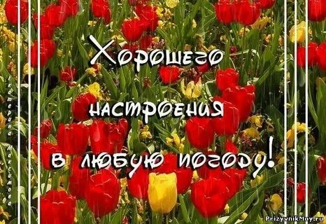 Не смотря на субботу