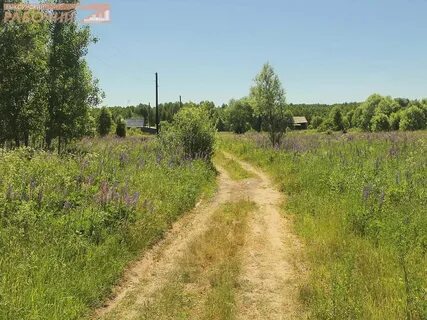 Новая нижегородская область