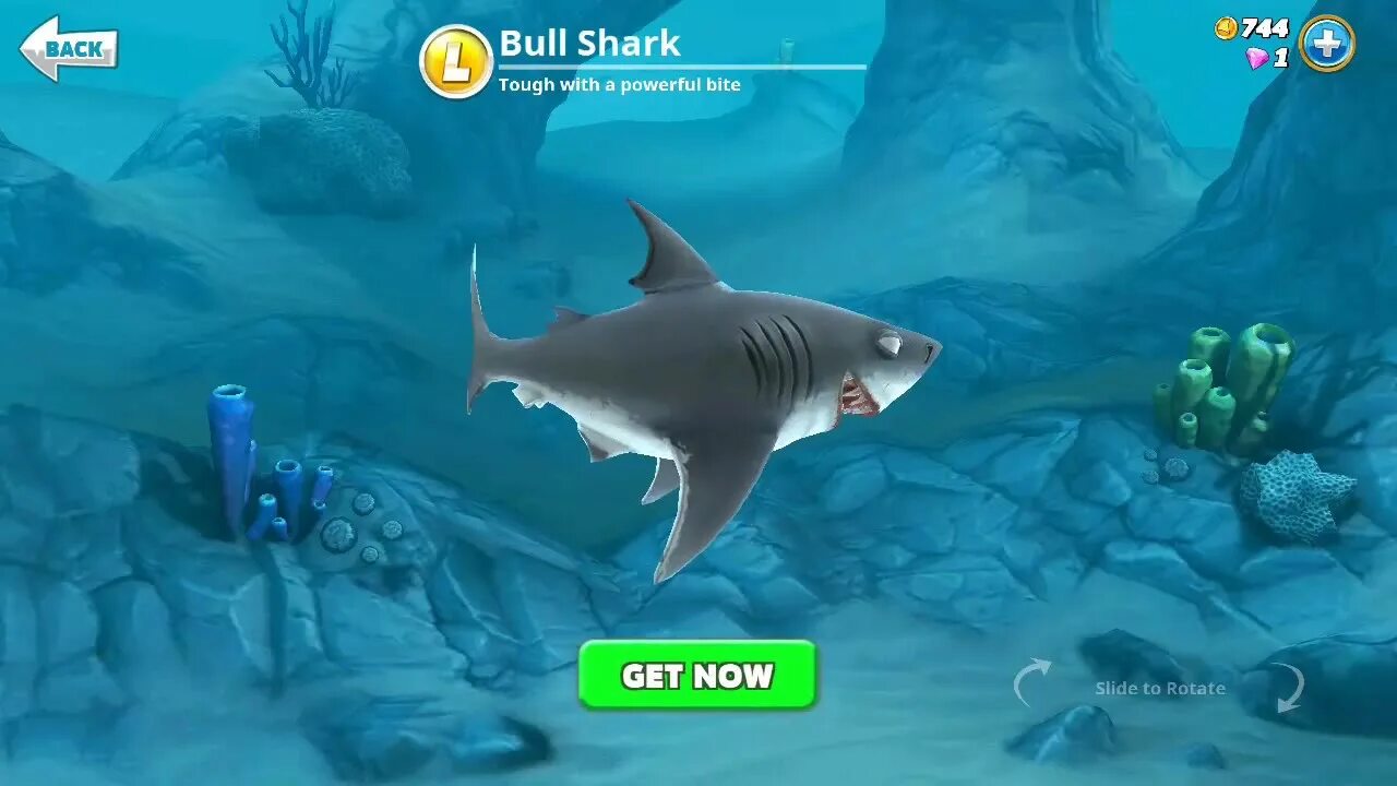Hungry shark монеты. Моды на hungry shark evolution. Hungry shark монеты. Hungry shark монеты. Hungry shark монеты.