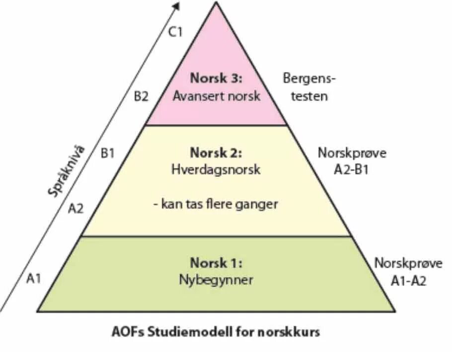 Уровни норвежского языка. Уровни знания языка. Уровни владения языком. Уровень языка b2 норвежский. Уровни владения немецким