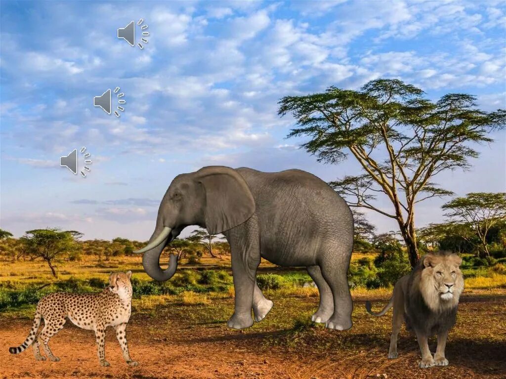 голоса диких животных для детей слушать. голоса диких животных для детей слушать. голоса животных африки. голоса диких животных для детей слушать. животные африки голоса и звуки.