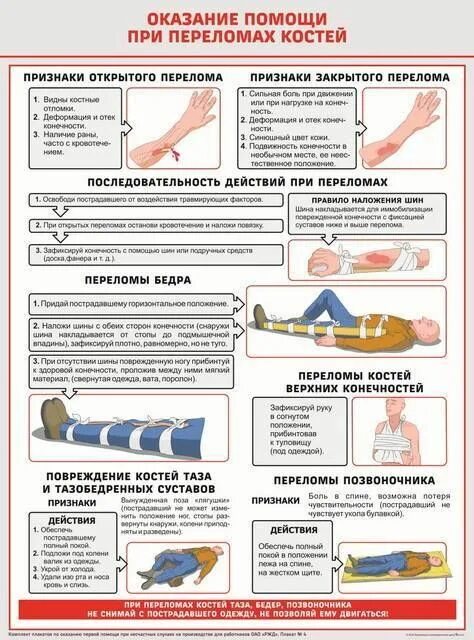 Как оказать первую медицинскую помощь при переломе. Оказание помощи при переломах. Оказание первой помощи при переломах. Оказание первой помощи при переломах костей. Порядок действий при переломе.