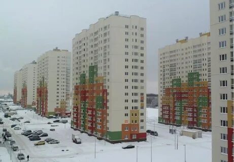 Цветы 2 нижний