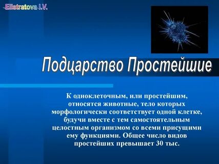 Простейшие солнечные