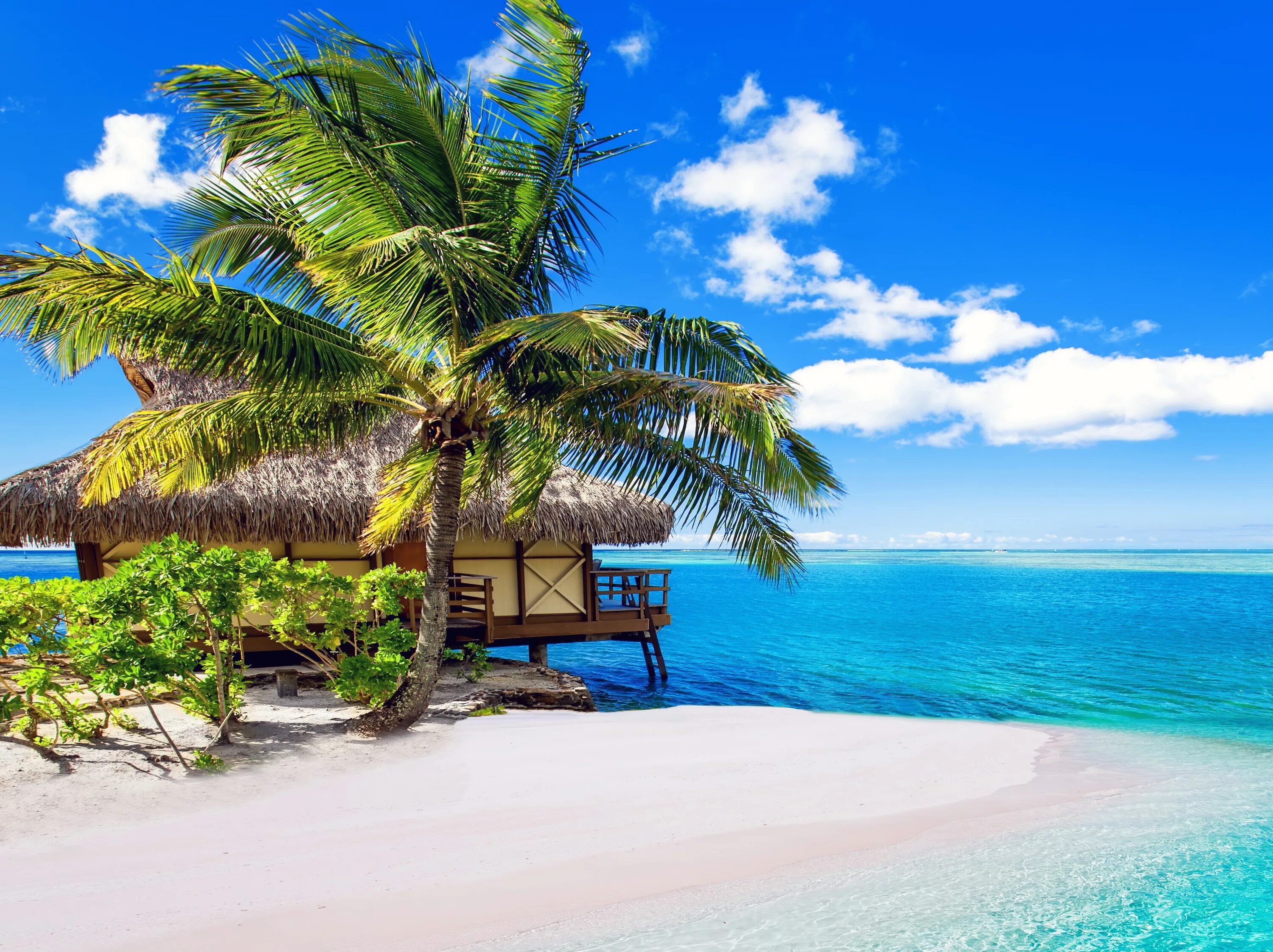Парадиз остров Карибского моря море. Остров Парадайз Карибы. Бунгало на Карибах. Канары, Карибы, Мальдивы, Сейшелы.. Beach scene